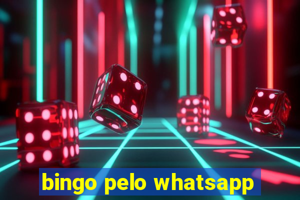 bingo pelo whatsapp